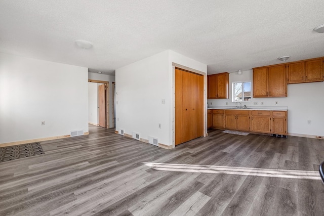 kitchen featuring sink, wood-type flooring, and a textured ceiling