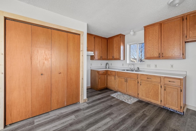 kitchen with sink, dark wood-type flooring, and a textured ceiling