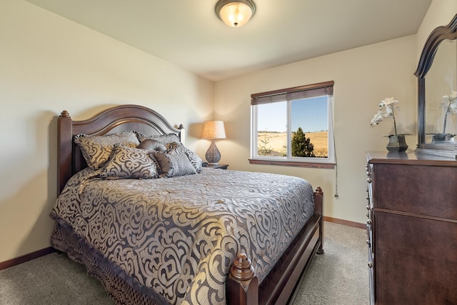 5017 Misty Woods Ln, Rapid City, SD 57701 - view of carpeted bedroom