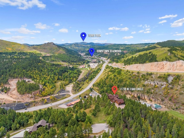 birds eye view of property featuring a mountain view