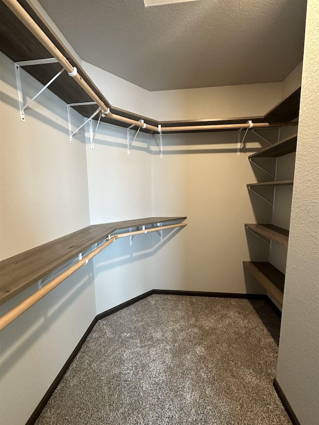 spacious closet featuring carpet flooring