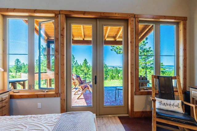 doorway featuring hardwood / wood-style floors, a healthy amount of sunlight, and french doors