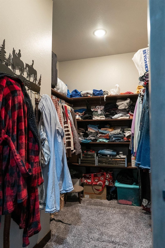 walk in closet featuring carpet flooring