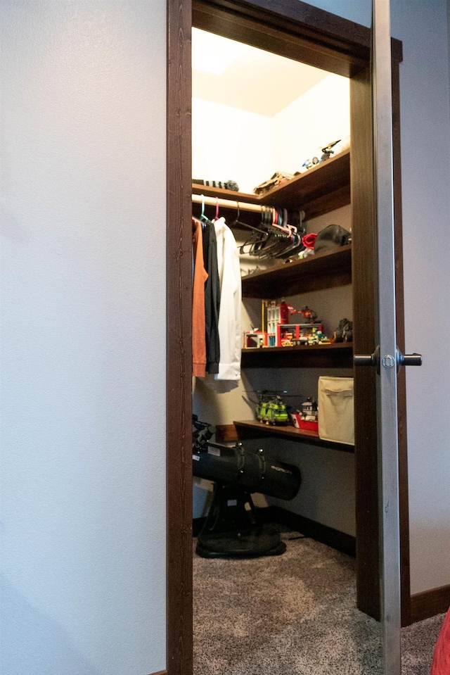 spacious closet with dark colored carpet