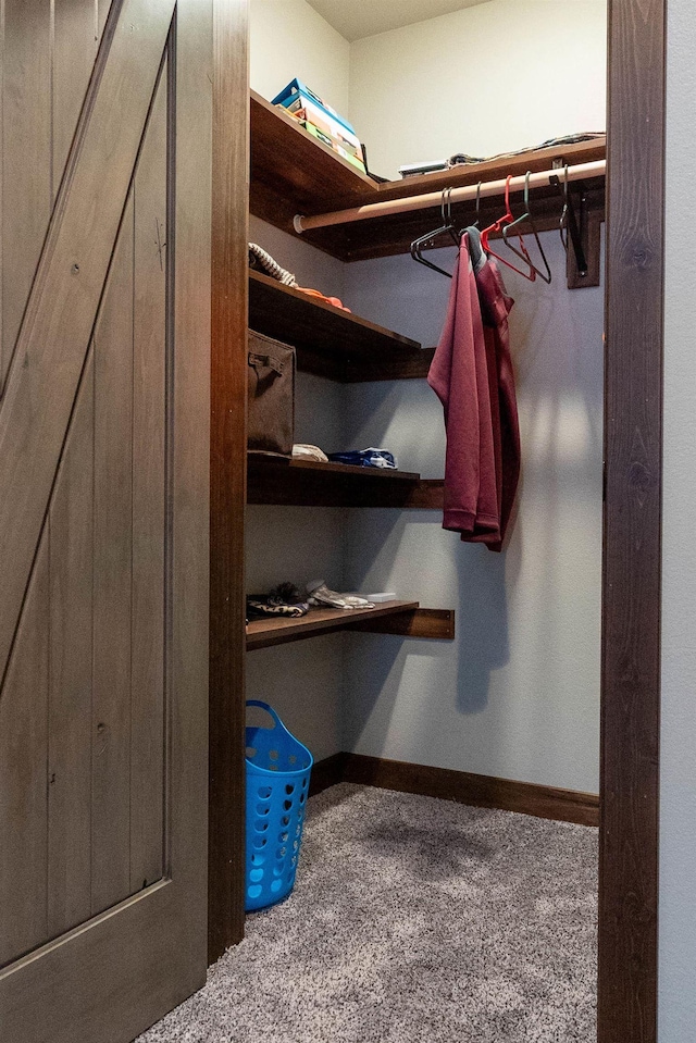 walk in closet with a barn door and carpet floors