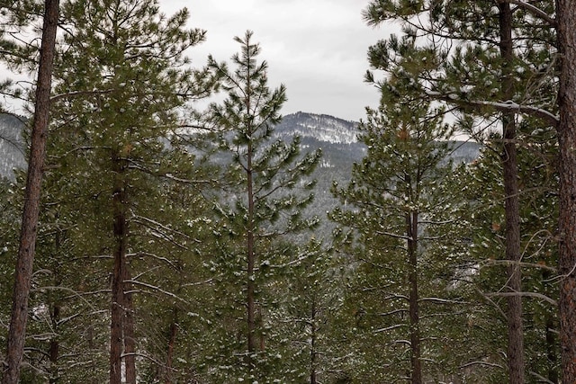 view of landscape with a mountain view