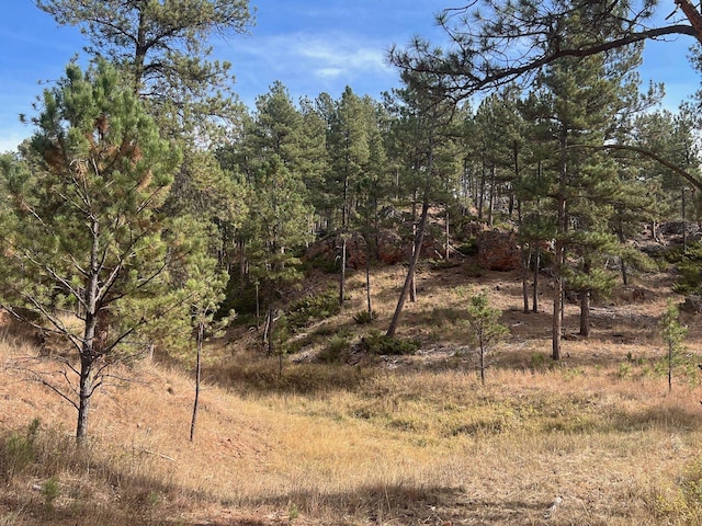 view of local wilderness