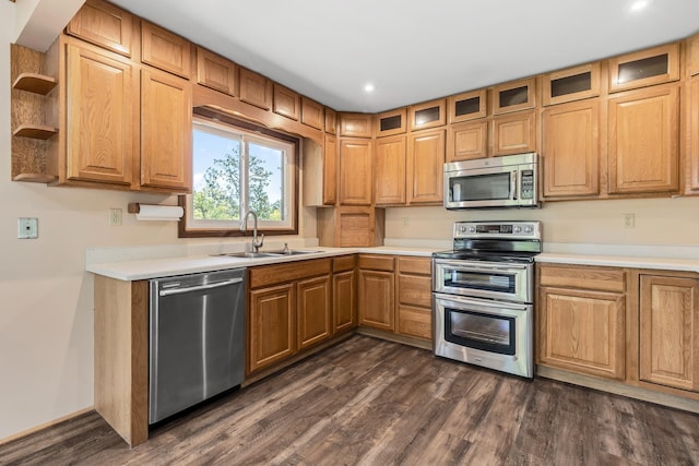 kitchen featuring dark hardwood / wood-style flooring, sink, and appliances with stainless steel finishes