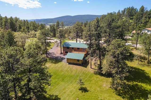 birds eye view of property featuring a mountain view