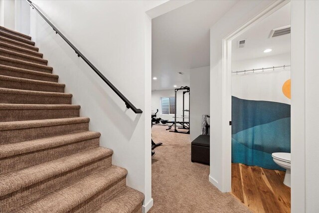 staircase featuring carpet floors