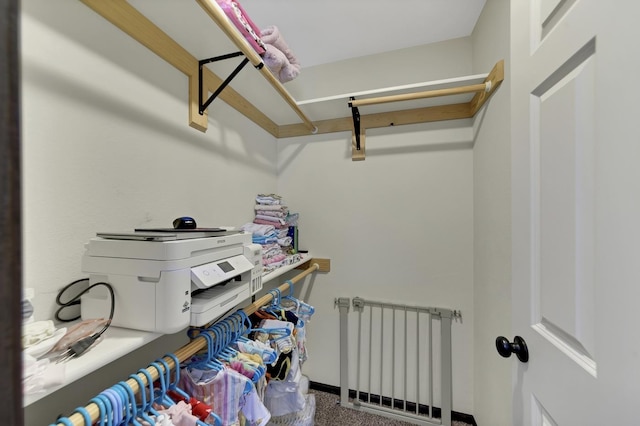 walk in closet featuring carpet and radiator heating unit