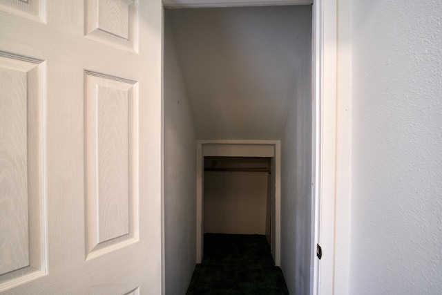 interior space featuring carpet flooring