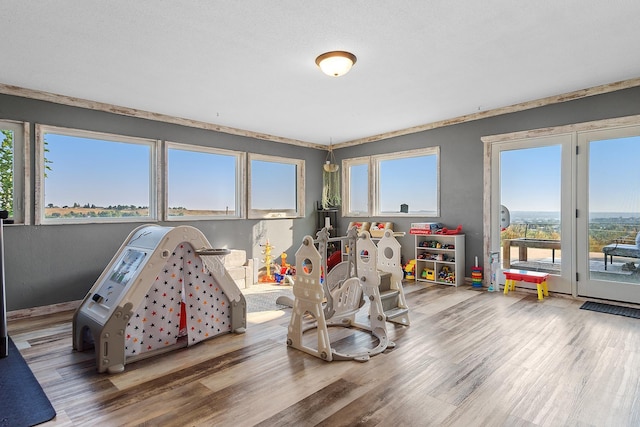 recreation room with wood-type flooring and crown molding