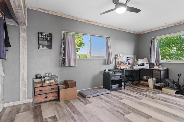 office featuring light hardwood / wood-style floors, ceiling fan, and a healthy amount of sunlight