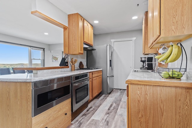 kitchen with sink, light wood-type flooring, and appliances with stainless steel finishes