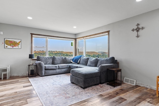 living room with light wood-type flooring