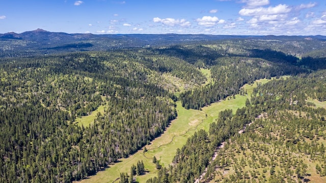 11709 Old Ironhorse Rd, Deadwood SD, 57732 land for sale