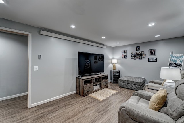 living room with wood-type flooring