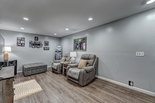 living room with hardwood / wood-style floors