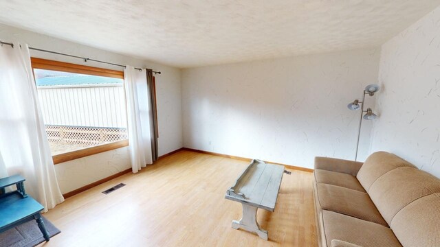 171 N Newton Ave, Hill City, SD 57745 - living room with light hardwood / wood-style floors
