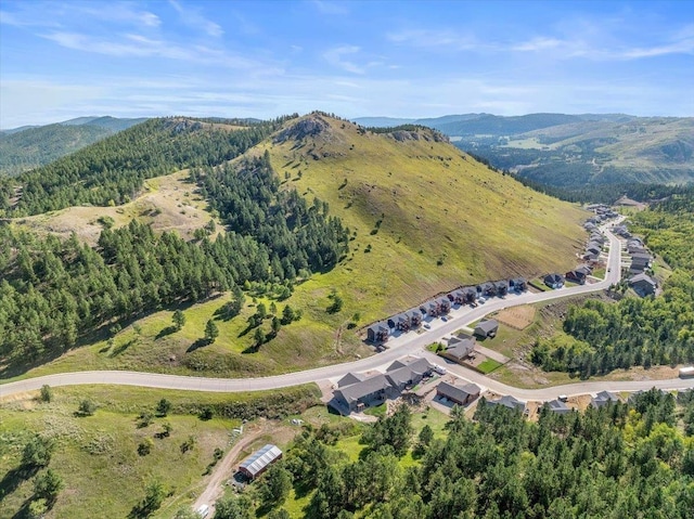 drone / aerial view with a mountain view