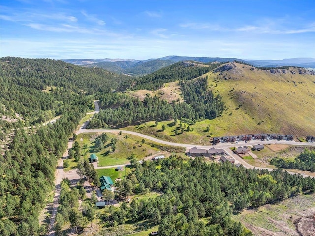 birds eye view of property with a mountain view