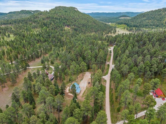 birds eye view of property featuring a mountain view