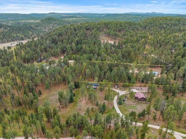 birds eye view of property featuring a mountain view