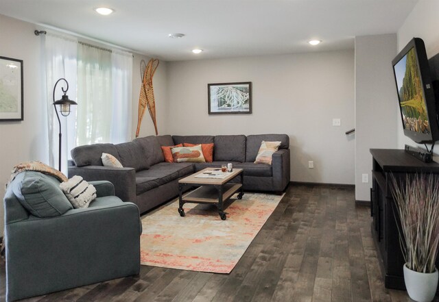 living room featuring dark hardwood / wood-style floors