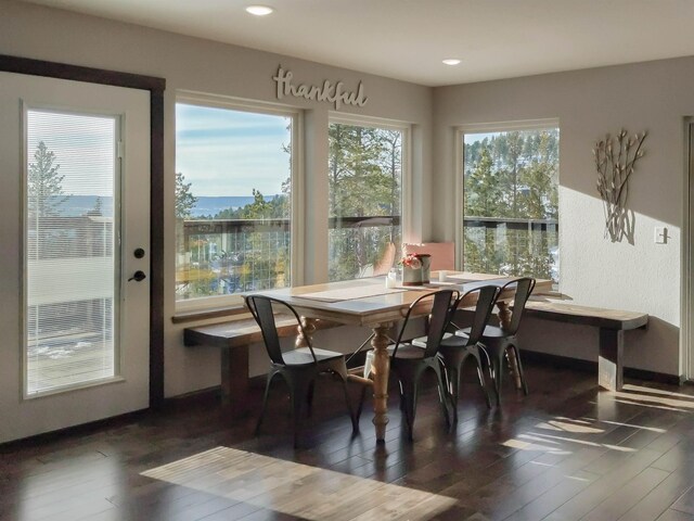 dining space featuring dark hardwood / wood-style floors