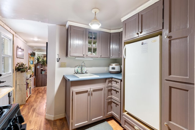 kitchen with pendant lighting, crown molding, sink, light wood-type flooring, and white fridge