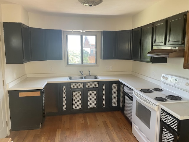 kitchen featuring sink, light hardwood / wood-style floors, range hood, and white electric range