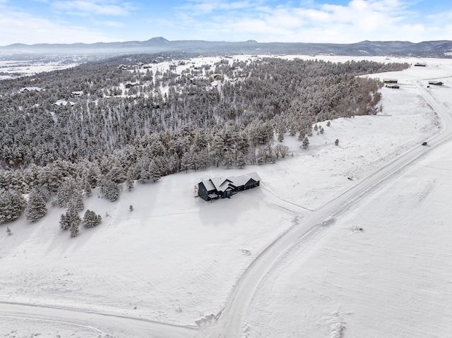 snowy aerial view featuring a mountain view