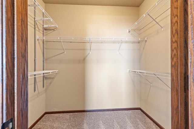 walk in closet with carpet floors