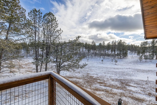 view of yard layered in snow