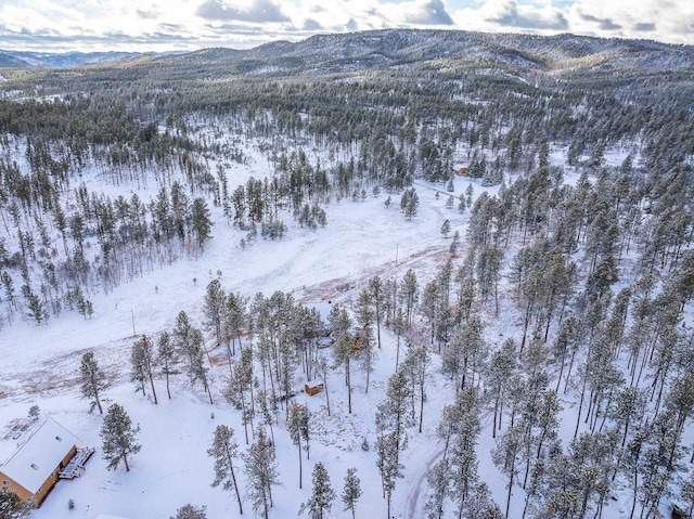 snowy aerial view with a mountain view