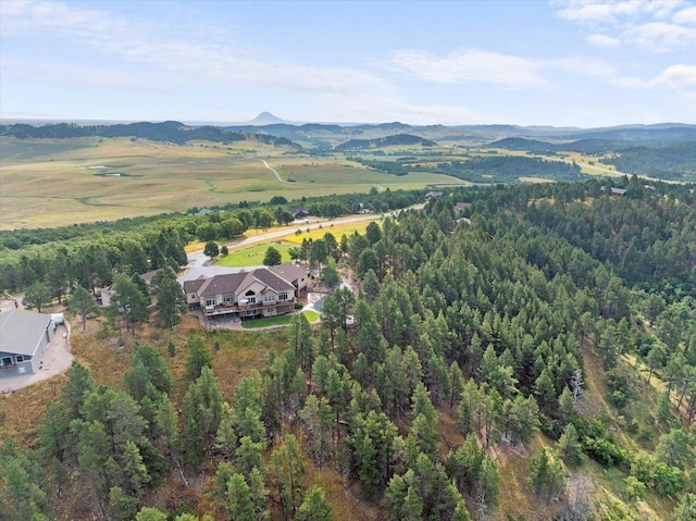 drone / aerial view featuring a mountain view