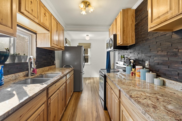 kitchen featuring light stone counters, sink, light wood-type flooring, and stainless steel appliances