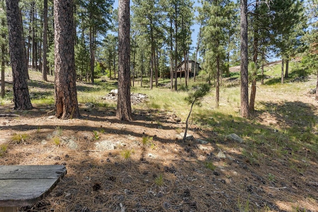 view of local wilderness