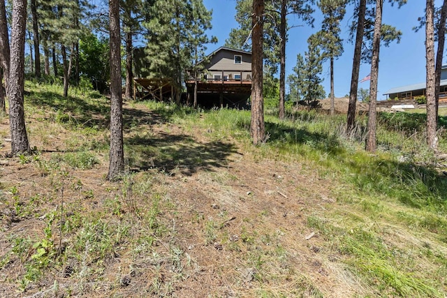 view of yard featuring a wooden deck