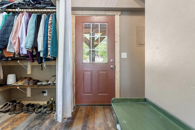 doorway to outside featuring dark wood-type flooring