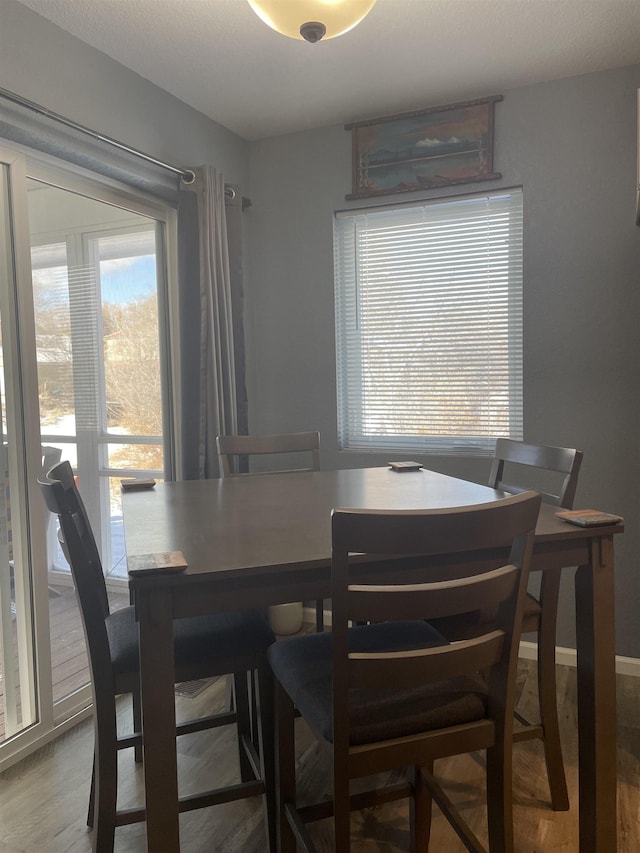 dining room featuring hardwood / wood-style floors