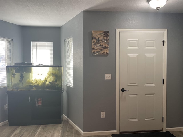 foyer entrance featuring wood-type flooring and a textured ceiling