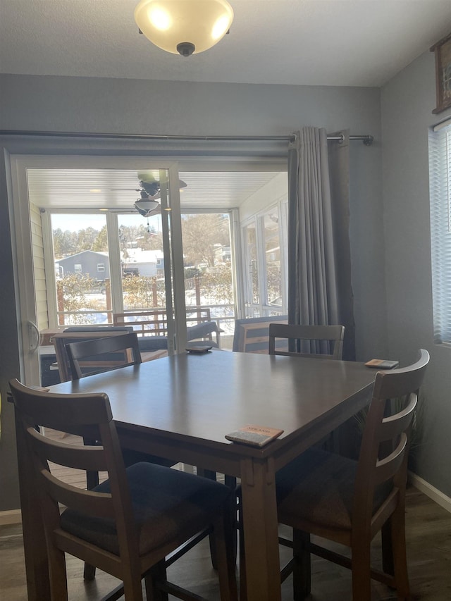 dining space featuring hardwood / wood-style floors