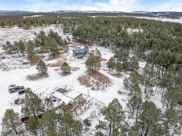 snowy aerial view featuring a mountain view