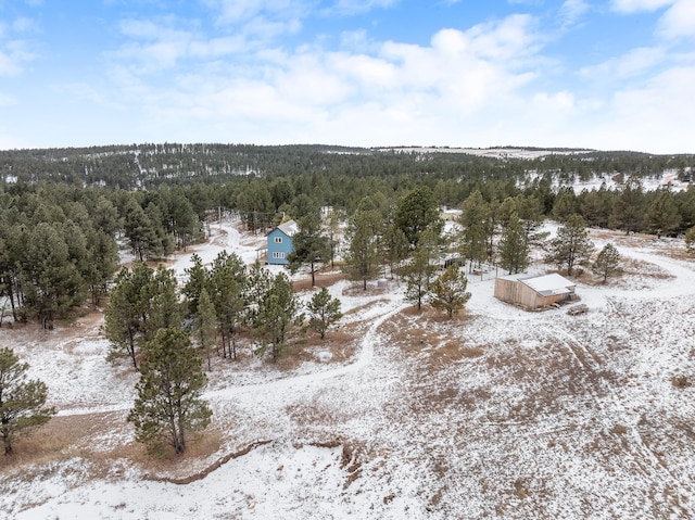 view of snowy aerial view