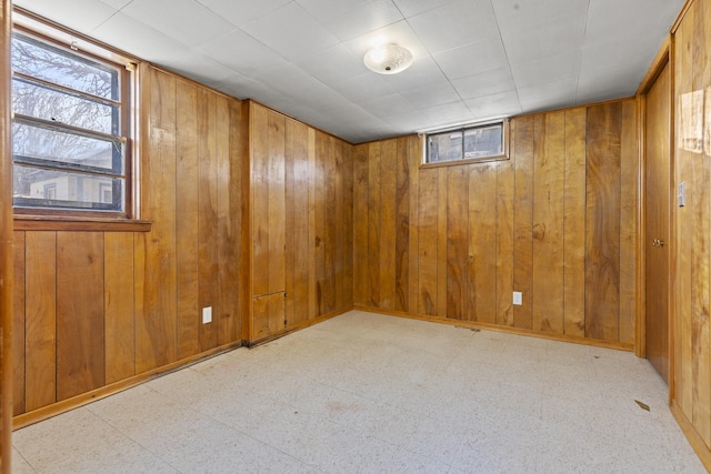 basement with wooden walls