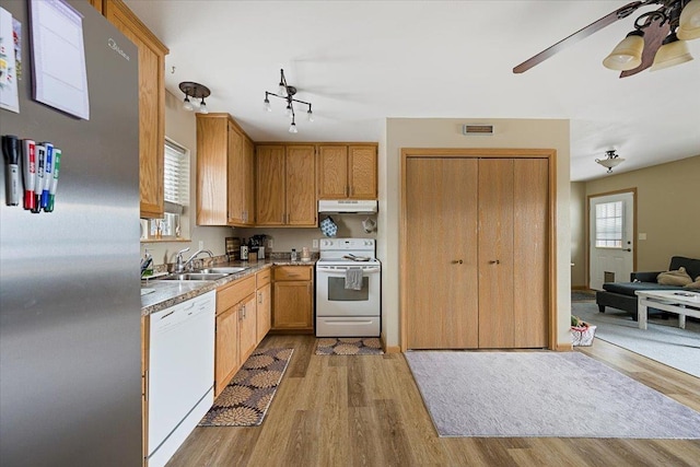 kitchen featuring white appliances, sink, a wealth of natural light, and light hardwood / wood-style flooring