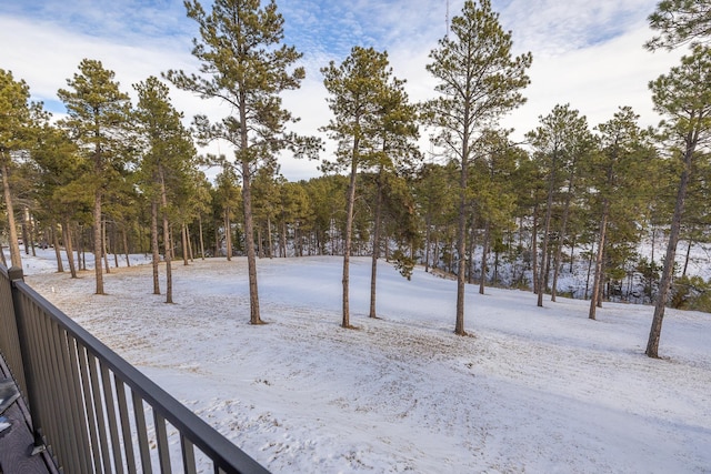 view of snowy yard