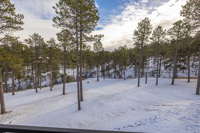 view of yard layered in snow